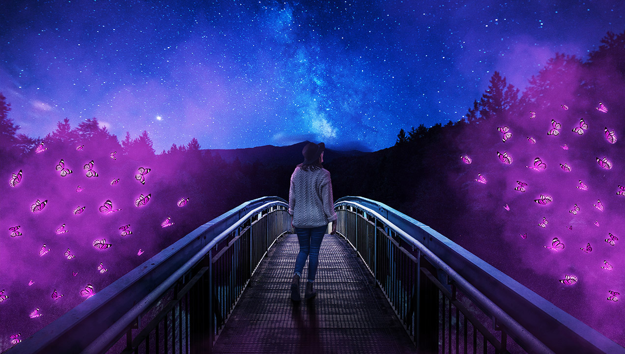 Butterfly Bridge